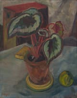 Florence Zerffi; Still Life with a Pot Plant and Fruit