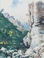 Fred F Bauer; Cliff Face