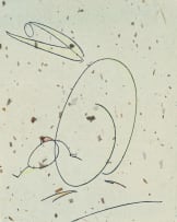 Max Ernst; Oiseau Mère