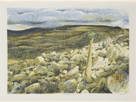 Gerhard Marx; 'Halfmens', Richtersveld. After the Rain