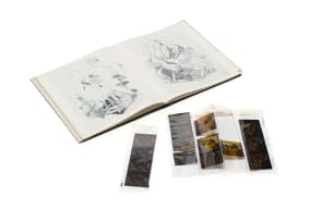 Georges Braque; Giroflie Bleue; Braque The Complete Graphics Catalogue Raisonné; Georges Braque: His Graphic Work, three