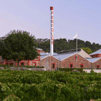 Strauss & Co Penfolds Grange 1951-2008 NFT