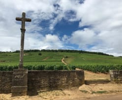 Strauss & Co Domaine de La Romanée-Conti 1999-2015 NFT