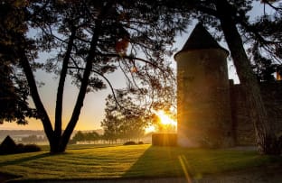 Strauss & Co Château d’Yquem 1892-2010 NFT