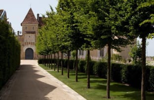 Strauss & Co Château d’Yquem 1892-2010 NFT