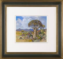 Conrad Theys; Giant Quiver Tree, Kokerboomreus