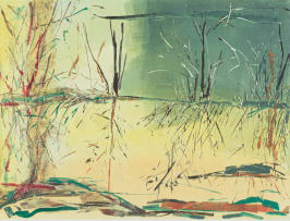 Kim Berman; Mangrove Dream