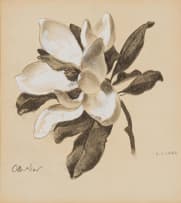 Otto Klar; Magnolia