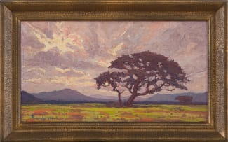 Jacob Hendrik Pierneef; Acacia