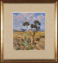 Conrad Theys; Quiver Tree - Near Okiep