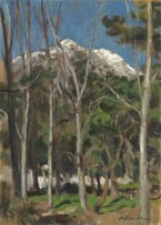 Robert Broadley; A View of a Mountain through Trees