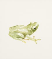Leigh Voigt; Frogs, four