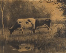 Tinus de Jongh; Two Cows in a Field