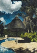 Walter Meyer; Outside Area with Swimming Pool and Palm Trees