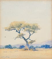 Walter Battiss; Thorn Tree