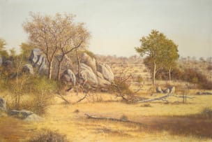Martin Koch; Bushveld Landscape