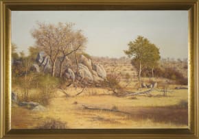 Martin Koch; Bushveld Landscape