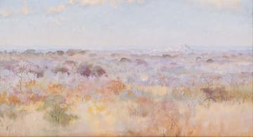 Paul Wiles; Bush Landscape