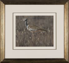 Angela Key; Kori Bustard