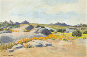 David Botha; Namaqualand Landscape