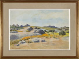 David Botha; Namaqualand Landscape