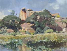 Terence McCaw; Waterway with Boulders and Euphorbia