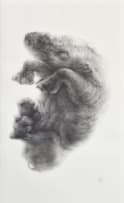 Elizabeth Gunter; Rhinocerus Fetus