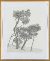 Anton Kannemeyer; Pine Trees, De Waal Drive