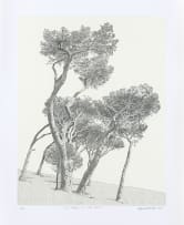 Anton Kannemeyer; Pine Trees, De Waal Drive