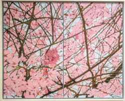 Denby Meyer; Blossom Galaxy, diptych