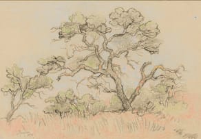 Gregoire Boonzaier; Trees; Building, recto-verso