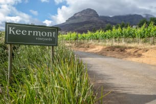 Hartenberg Estate & Keermont Vineyards Collection