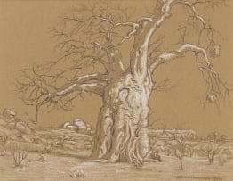 Erich Mayer; Baobab Tree in a Landscape