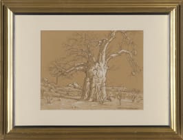 Erich Mayer; Baobab Tree in a Landscape