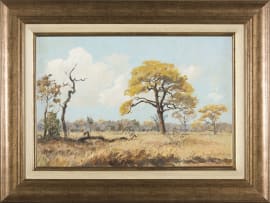 Francois Koch; Bushveld Landscape