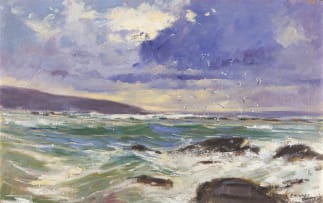 Adriaan Boshoff; Hovering Gulls over a Turbulent Sea