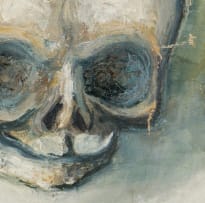 Eugene Labuschagne; Monkey Skulls
