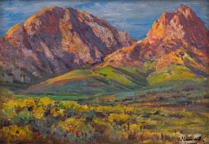 Hugo Naudé; Extensive Landscape with Mountains
