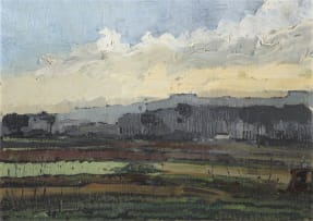 Pieter Wenning; Fields and Trees, Claremont