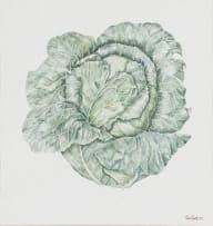 Phil Scott; Cabbage