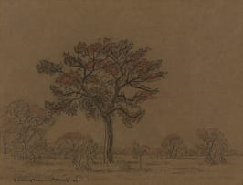 Jacob Hendrik Pierneef; Bushveld with Trees