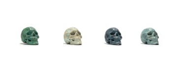 Cobus Haupt; Boa Skulls