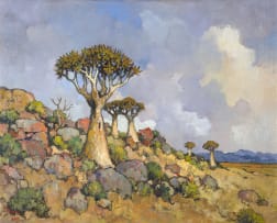 Conrad Theys; Quiver Trees-Richtersveld Mountains