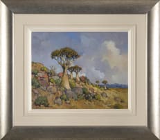 Conrad Theys; Quiver Trees-Richtersveld Mountains