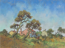 Conrad Theys; Western Cape Country Houses