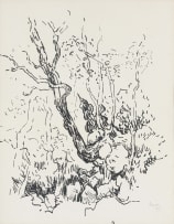 Gregoire Boonzaier; Tree