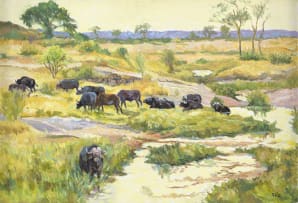 Zakkie Eloff; Buffalo in the Grasslands