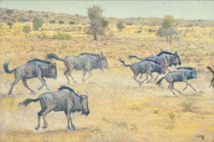 Zakkie Eloff; Galloping Wildebeest