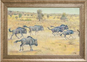 Zakkie Eloff; Galloping Wildebeest