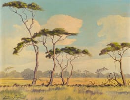 Gerrie Snyman; Bome by Naboomspruit (Trees by Naboomspruit)